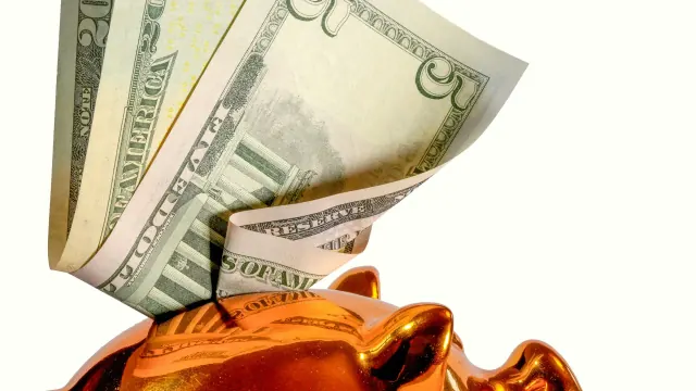 Dollar bills sticking from a piggy bank show how to save money in piggy bank.